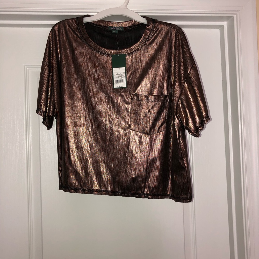 Wild Fable Metallic Crop Top 🤩